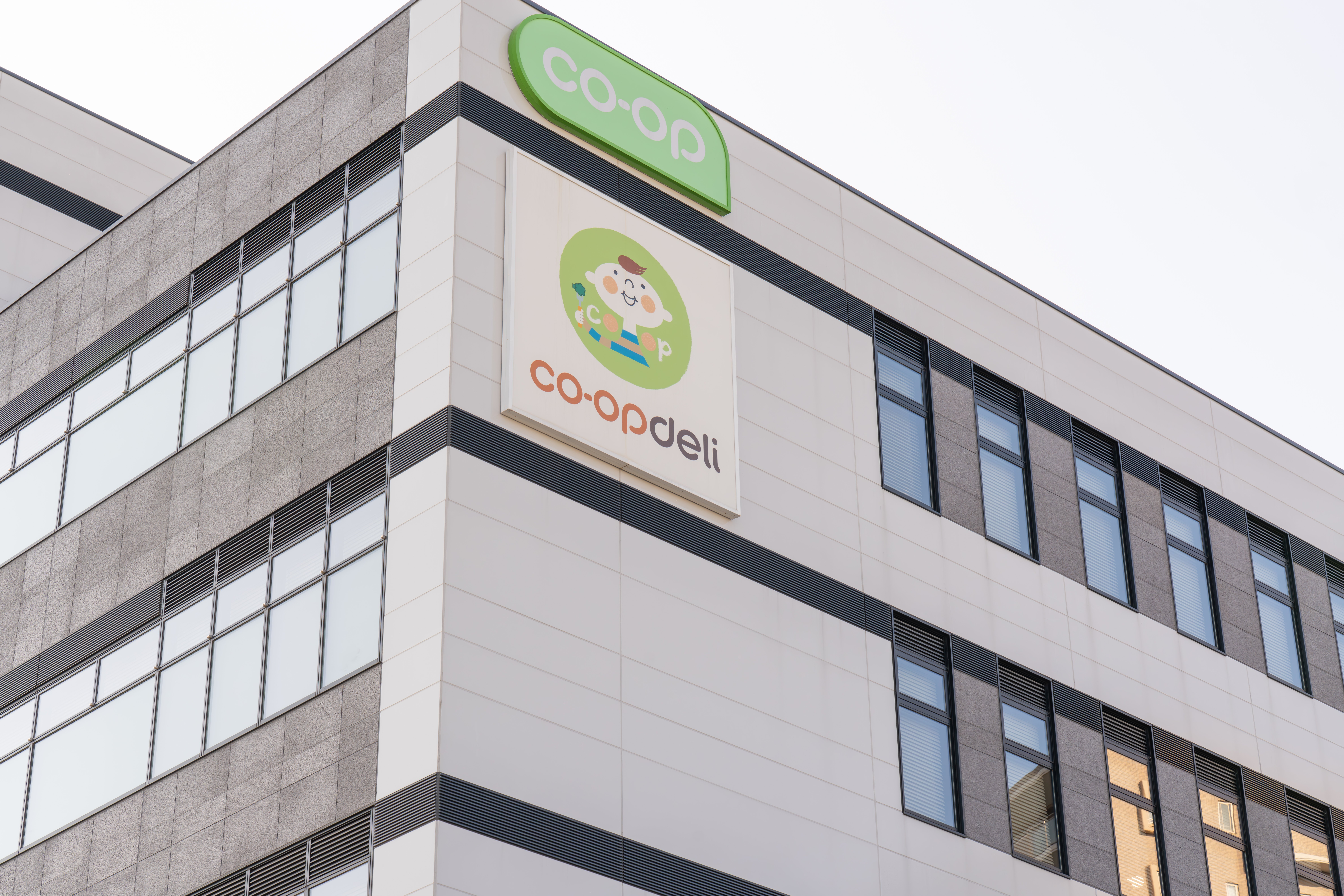 DSC04558-Enhanced-NR